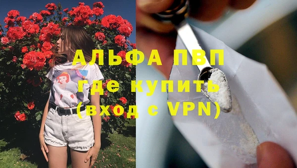jwh Алзамай