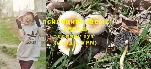 Альфа ПВП Алексеевка